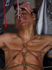 Bound, spat on and forced