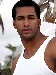 Black stallion with curved dick