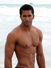 Black stallion with curved dick