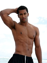 Black stallion with curved dick