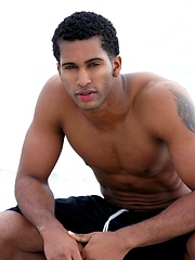 Black stallion with curved dick