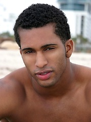 Black stallion with curved dick